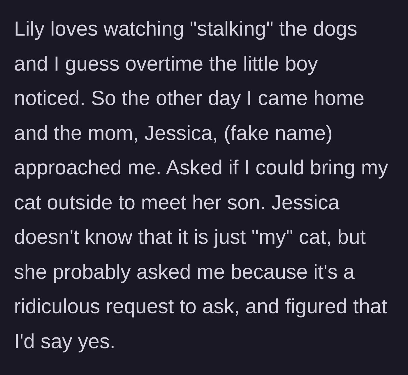 Story part 3 - The neighbor mom approaches and asks the young woman to bring her indoor cat outside to meet her son.