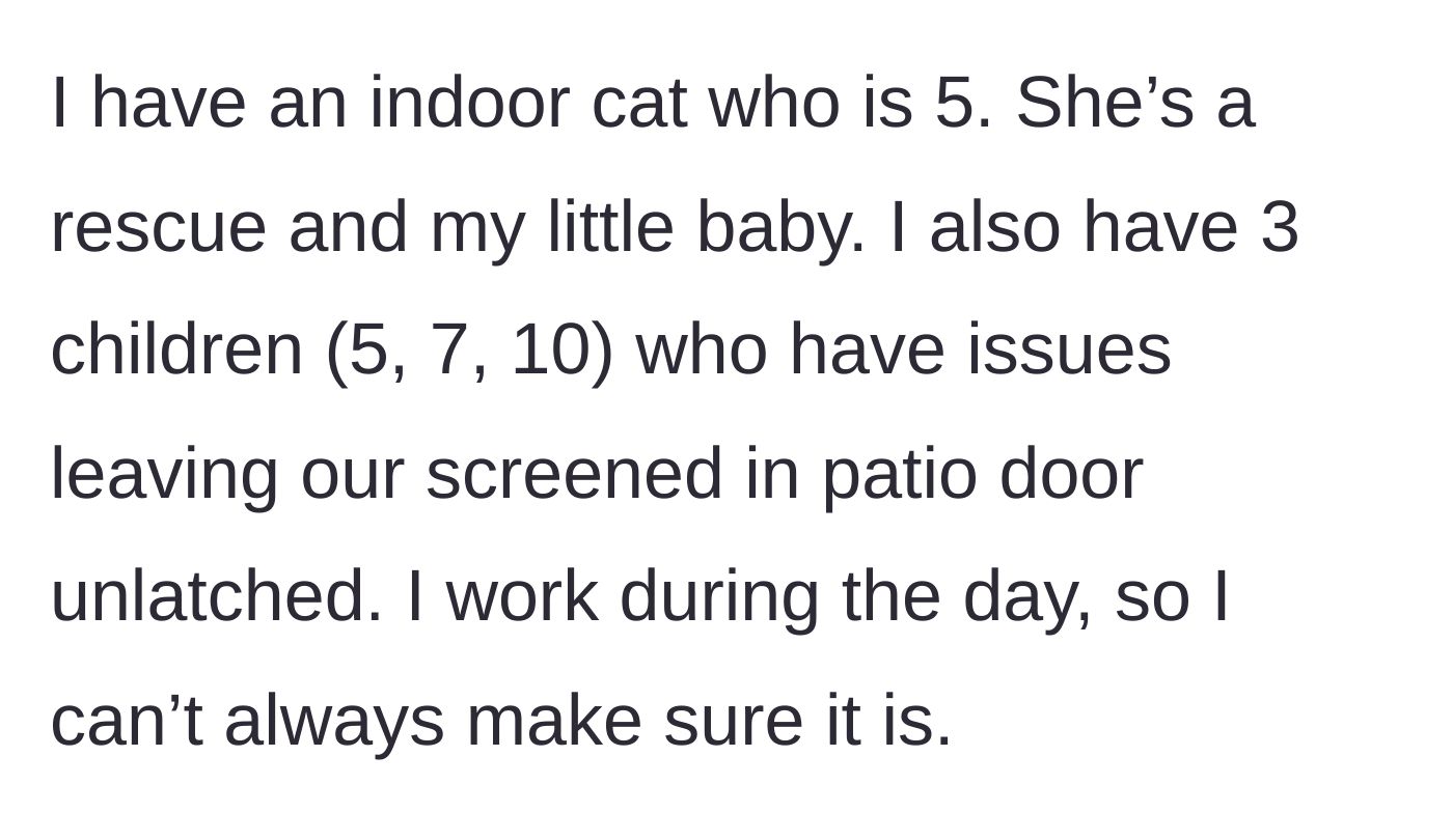 Story part 1 - A description of a working parent explaining how their three young kids accidentally leave the patio door open, letting their rescue cat slip outside.
