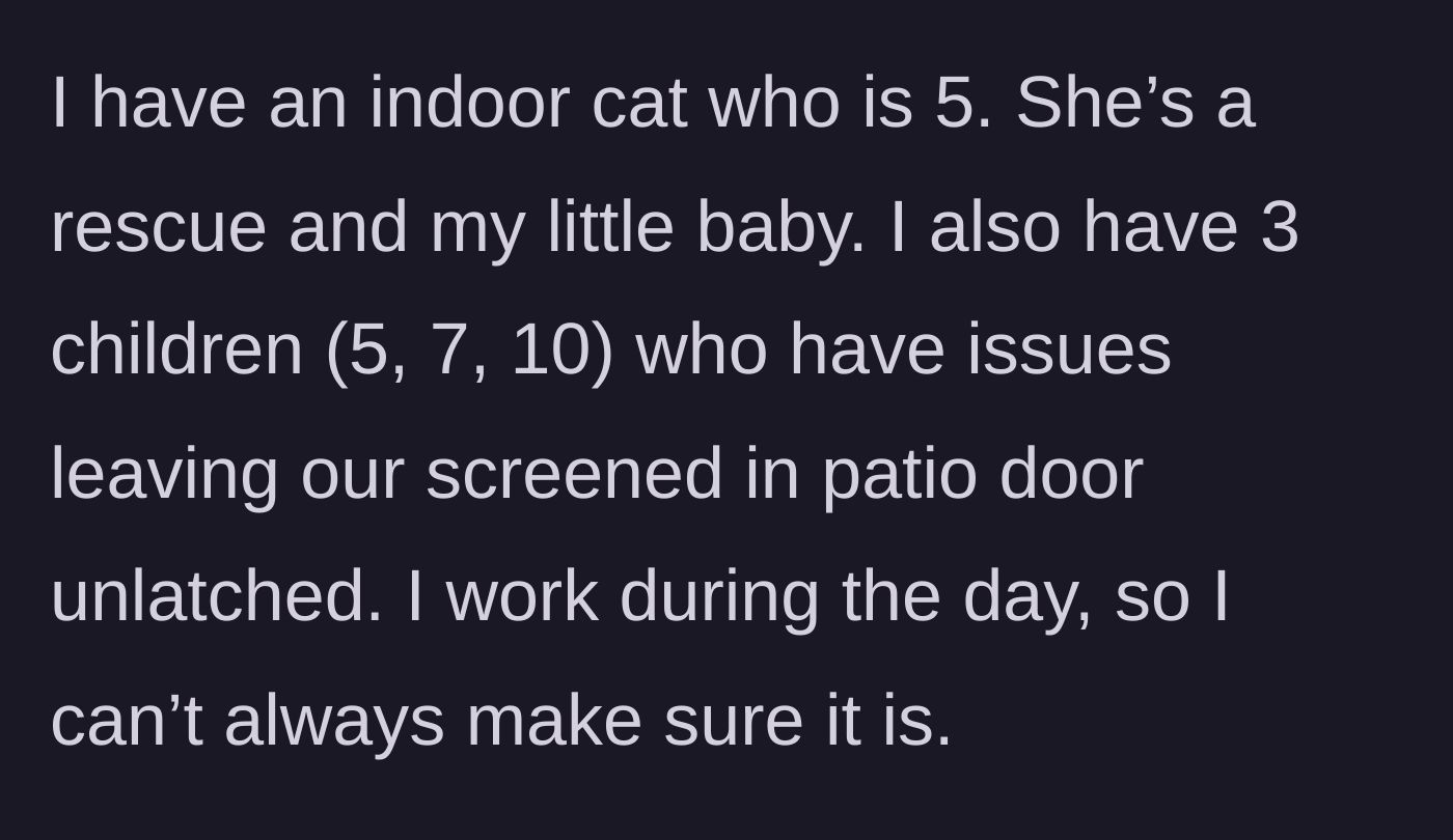 Story part 1 - A description of a working parent explaining how their three young kids accidentally leave the patio door open, letting their rescue cat slip outside.